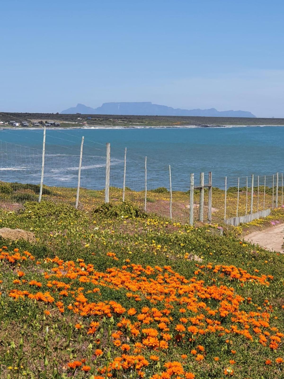 West Coast Seaside Getaway Hotell Grotto Bay Exteriör bild